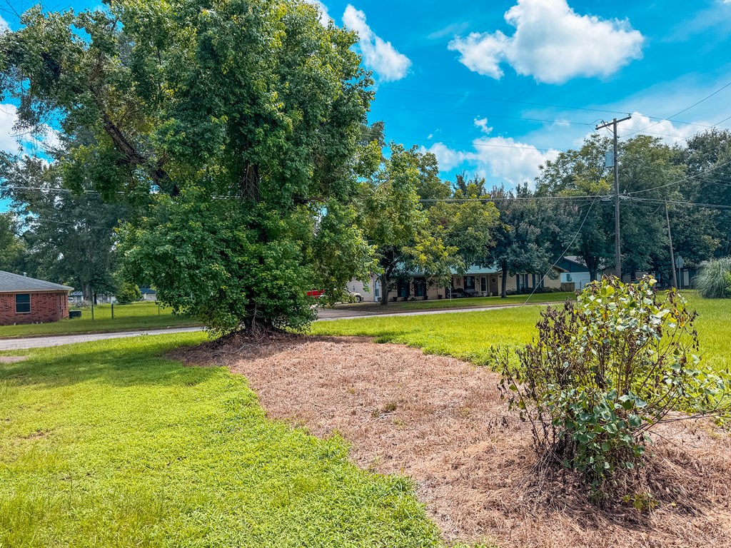 1711 West Point Tap Road Palestine, TX 75803 - Photo 14 of 17