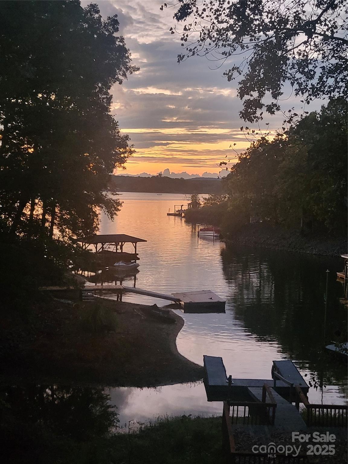 29034 Snapper Point Tega Cay, SC 29708 - Photo 2 of 6 a view of house with backyard space and lake view