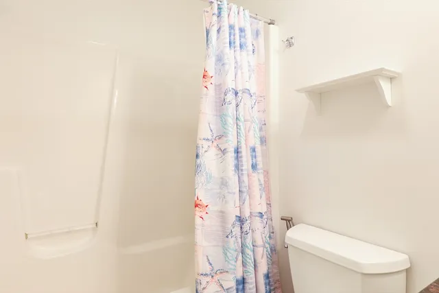 a white toilet sitting next to a shower curtain