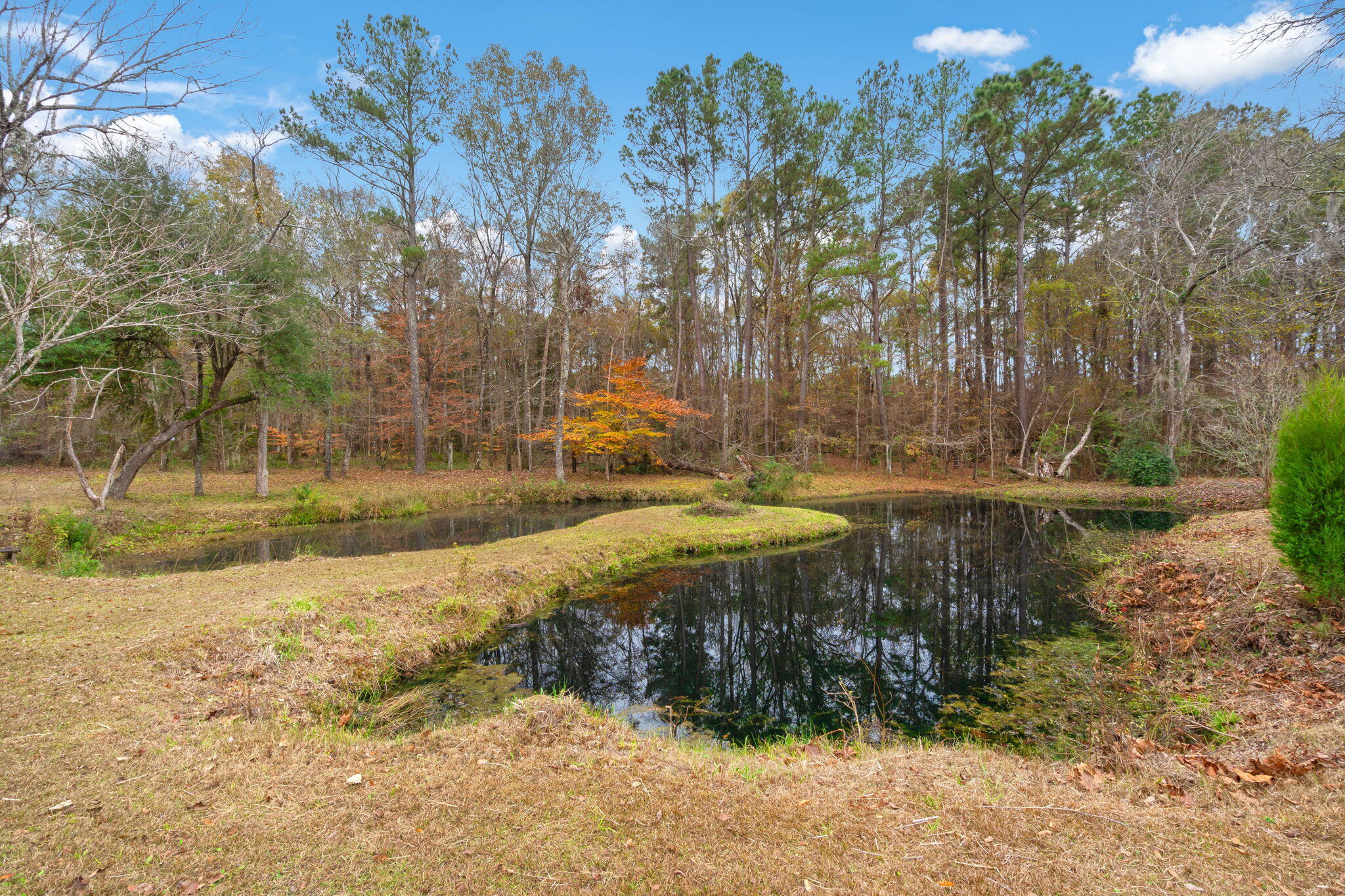 531 Vandross Road Moncks Corner, SC 29461 - Photo 32 of 44 32