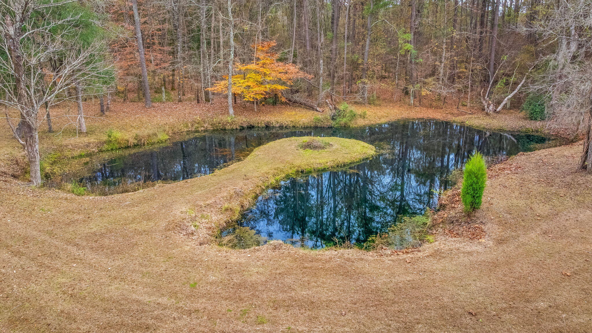 531 Vandross Road Moncks Corner, SC 29461 - Photo 37 of 44 37
