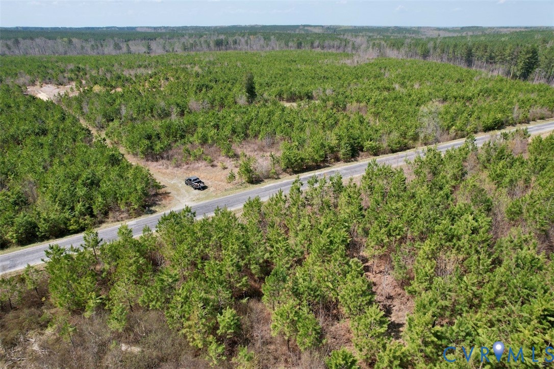 601 Edmonds Lane Blackstone, VA 23824 - Photo 2 of 27 a view of a lush green forest with trees and some houses