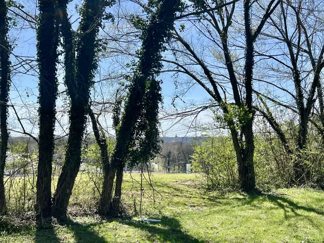 $59,900 | 0 Lewisburg Highway, Pulaski, TN 38478