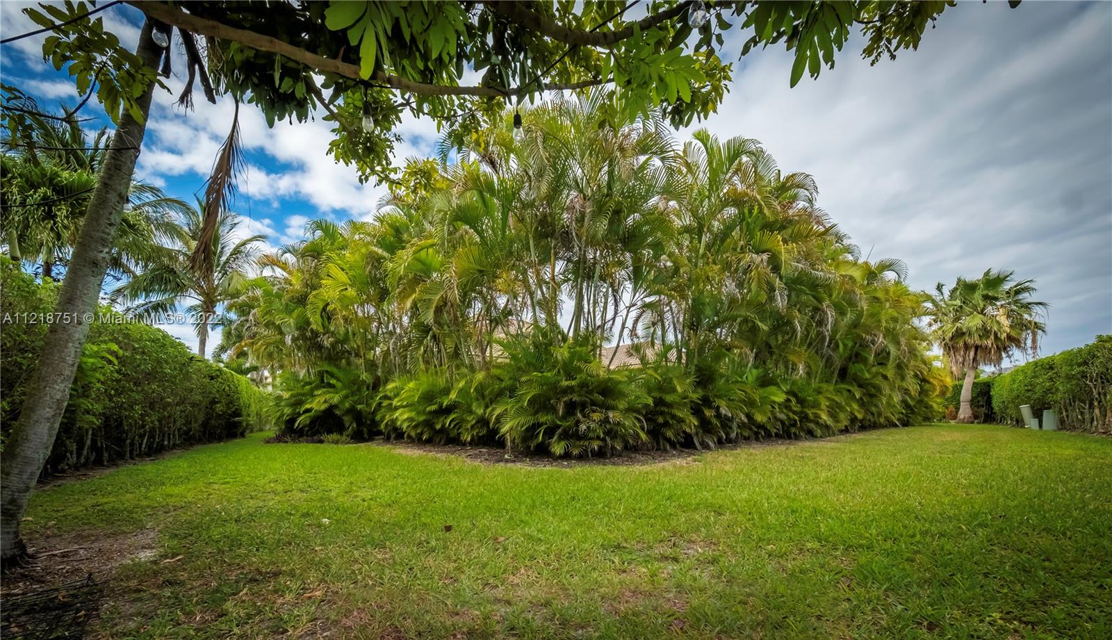 21432 Gosier Way Boca Raton, FL 33428 - Photo 49 of 55 a view of a yard with a tree