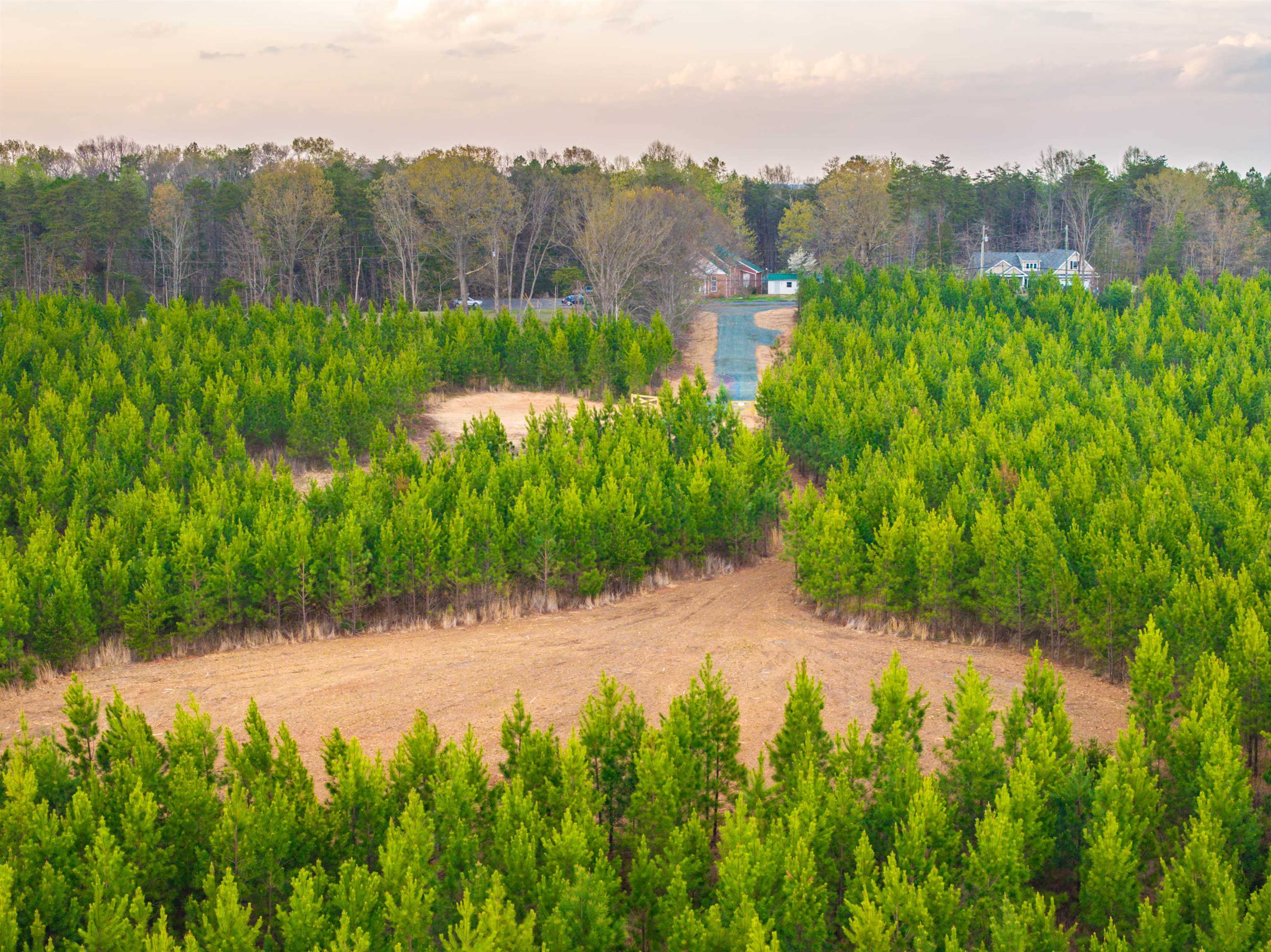 Tbd Evergreen Church Road Palmyra, VA 22963 - Photo 16 of 36