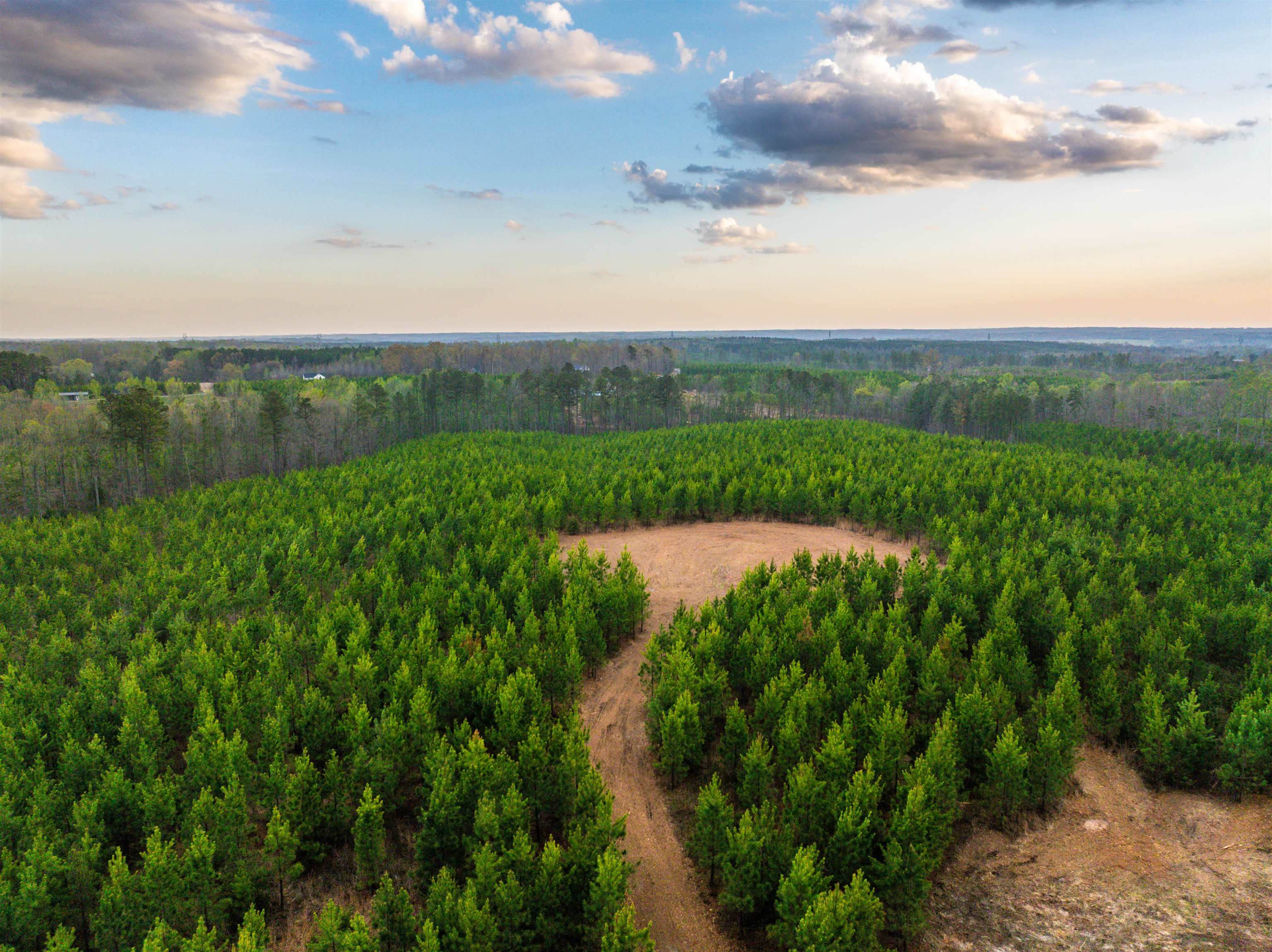 Tbd Evergreen Church Road Palmyra, VA 22963 - Photo 18 of 36