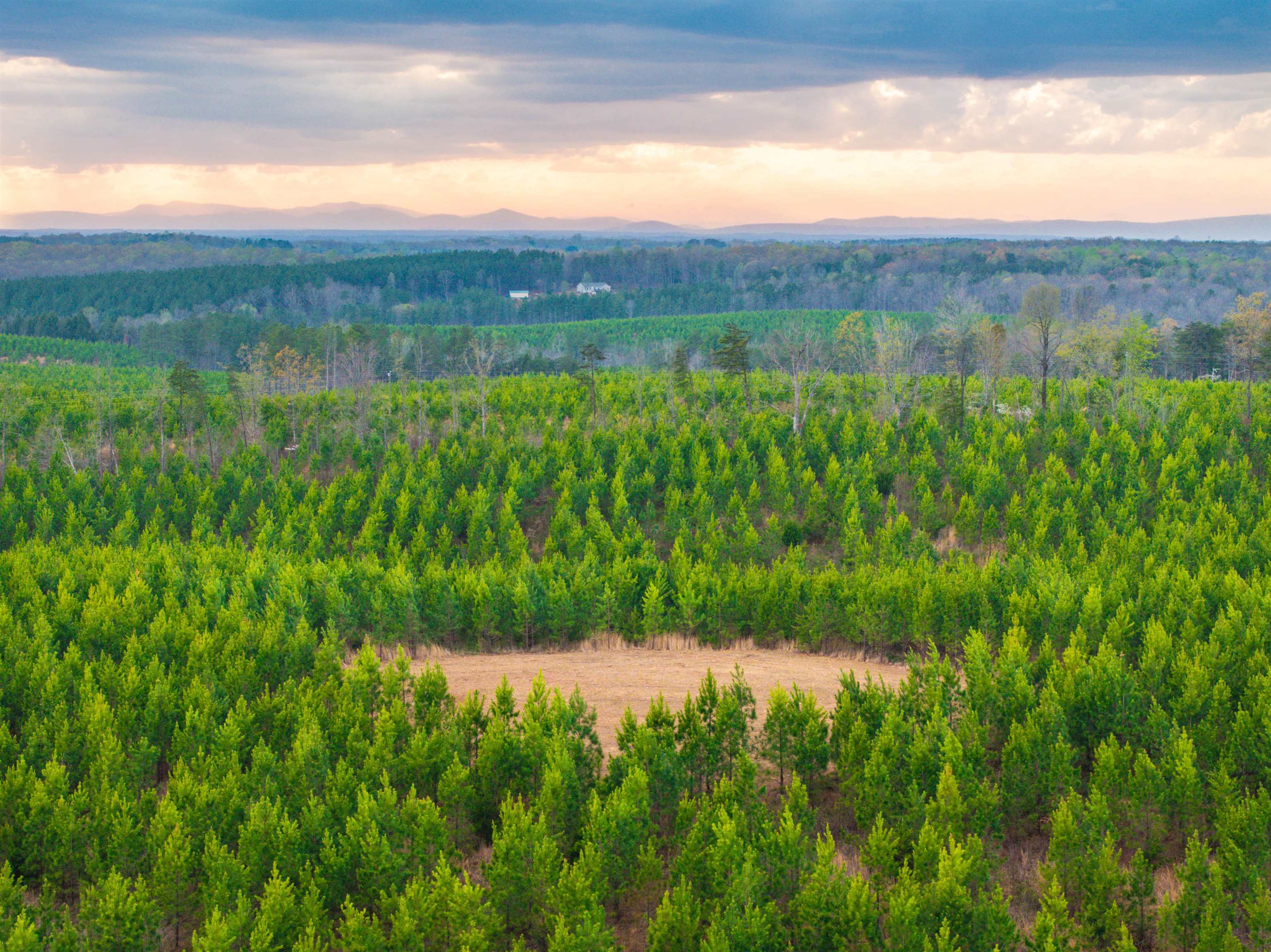 Tbd Evergreen Church Road Palmyra, VA 22963 - Photo 29 of 36