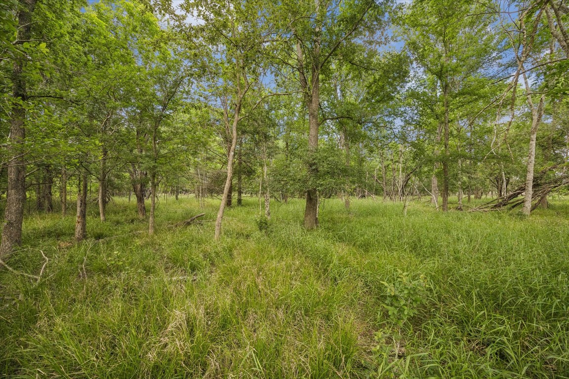5000 Brewer Road Sealy, TX 77474 - Photo 3 of 8 a view of yard with green space