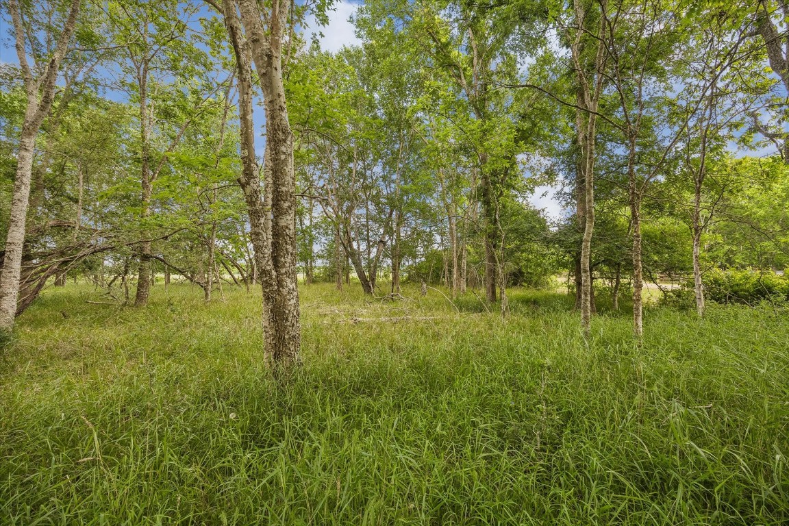 5000 Brewer Road Sealy, TX 77474 - Photo 4 of 8 a view of yard with green space