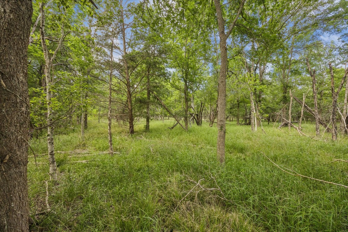 5000 Brewer Road Sealy, TX 77474 - Photo 5 of 8 a view of outdoor space and trees