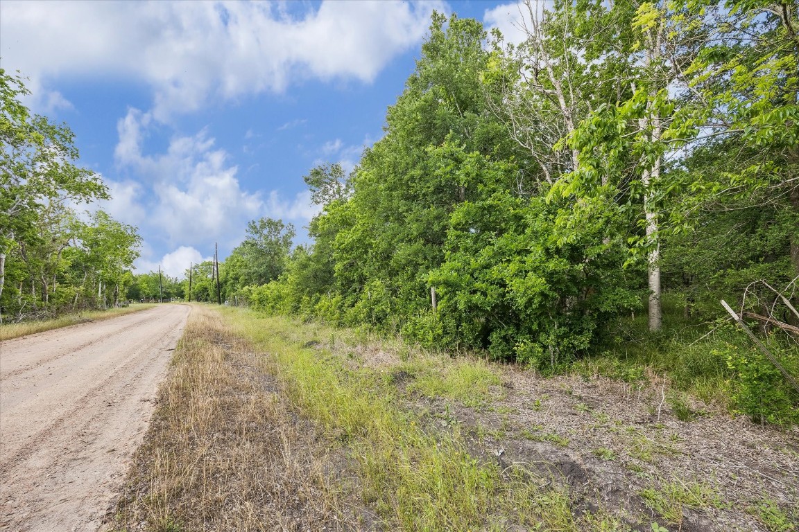 5000 Brewer Road Sealy, TX 77474 - Photo 6 of 8 a view of a yard with plants and a trees