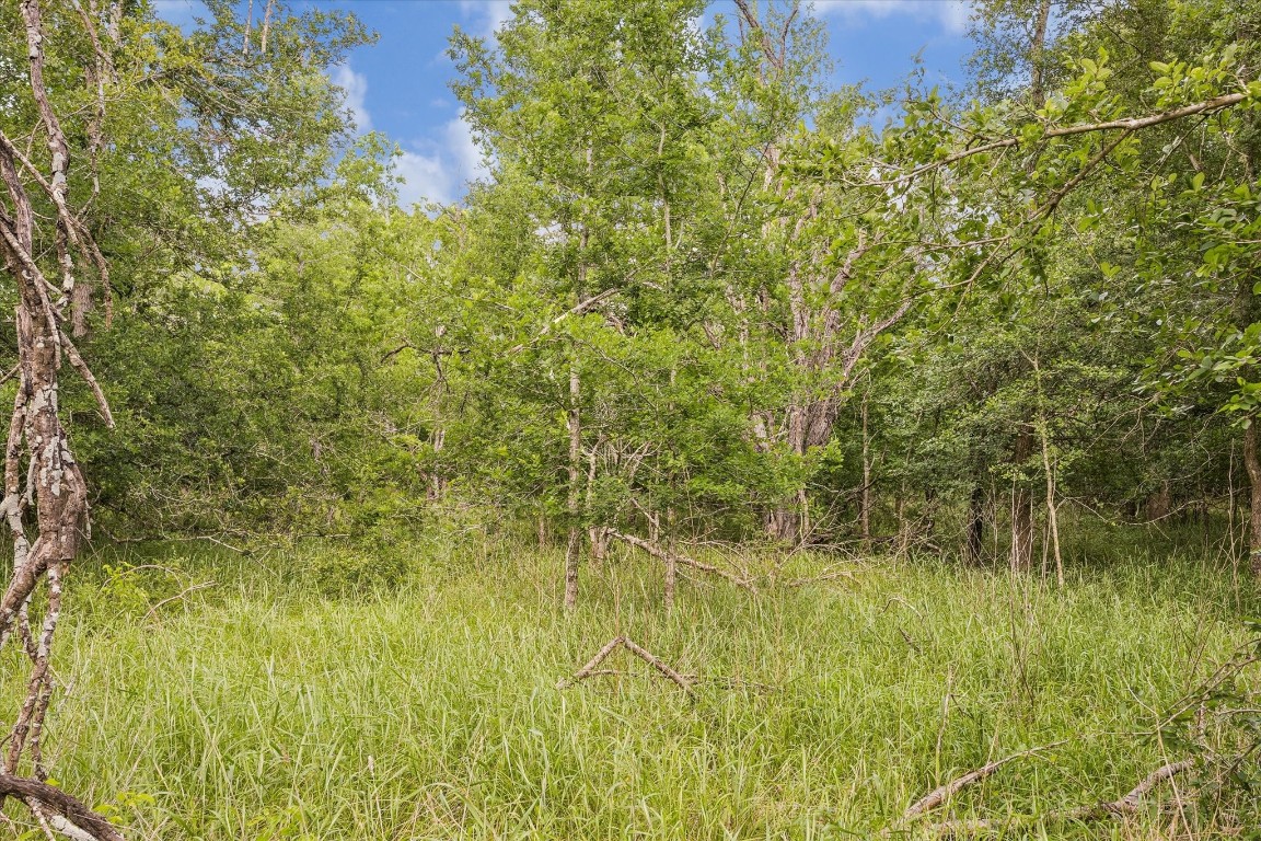 5000 Brewer Road Sealy, TX 77474 - Photo 8 of 8 a view of a garden