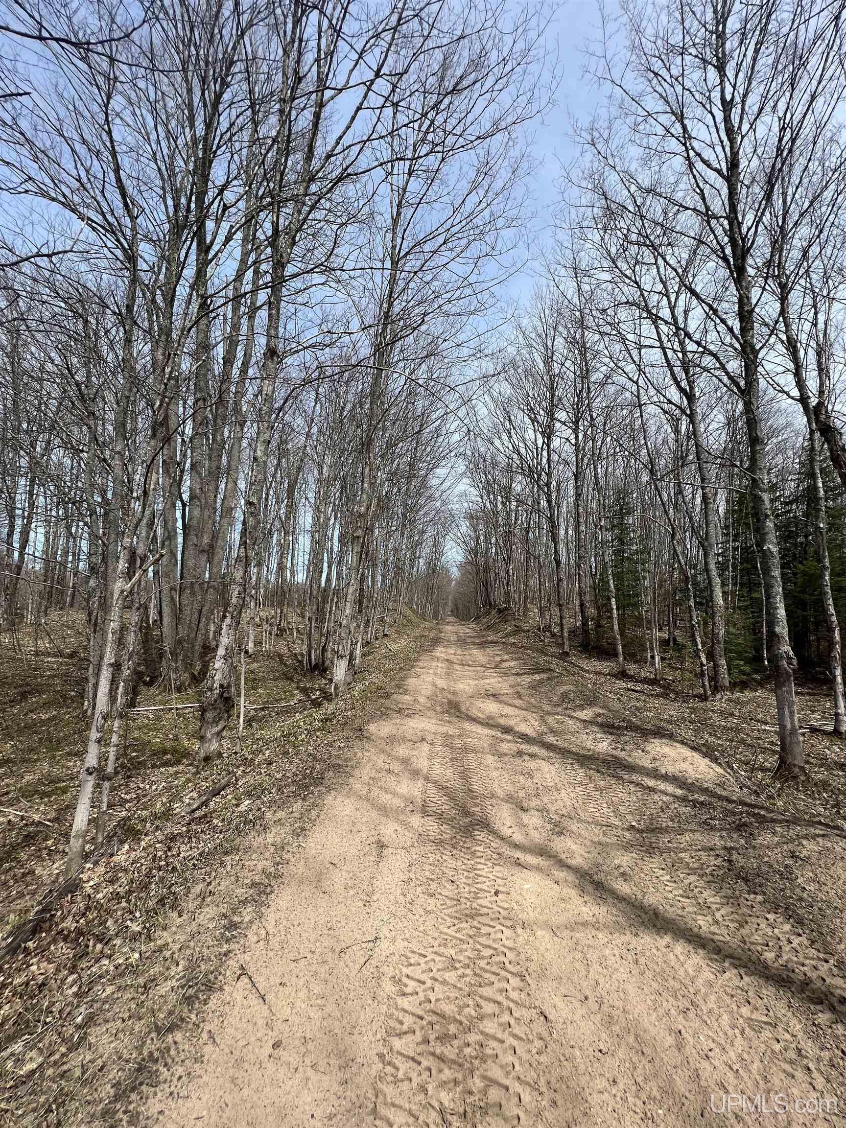 H58 St Shingleton Mi 49895 Shingleton, MI 49884 - Photo 19 of 21