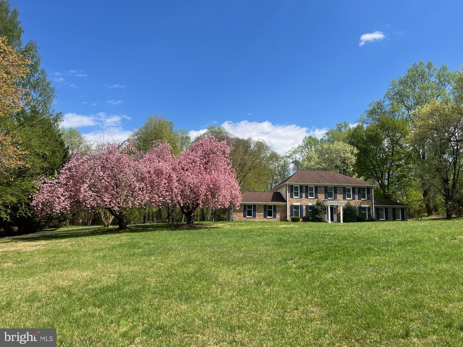 a view of a house with a big yard