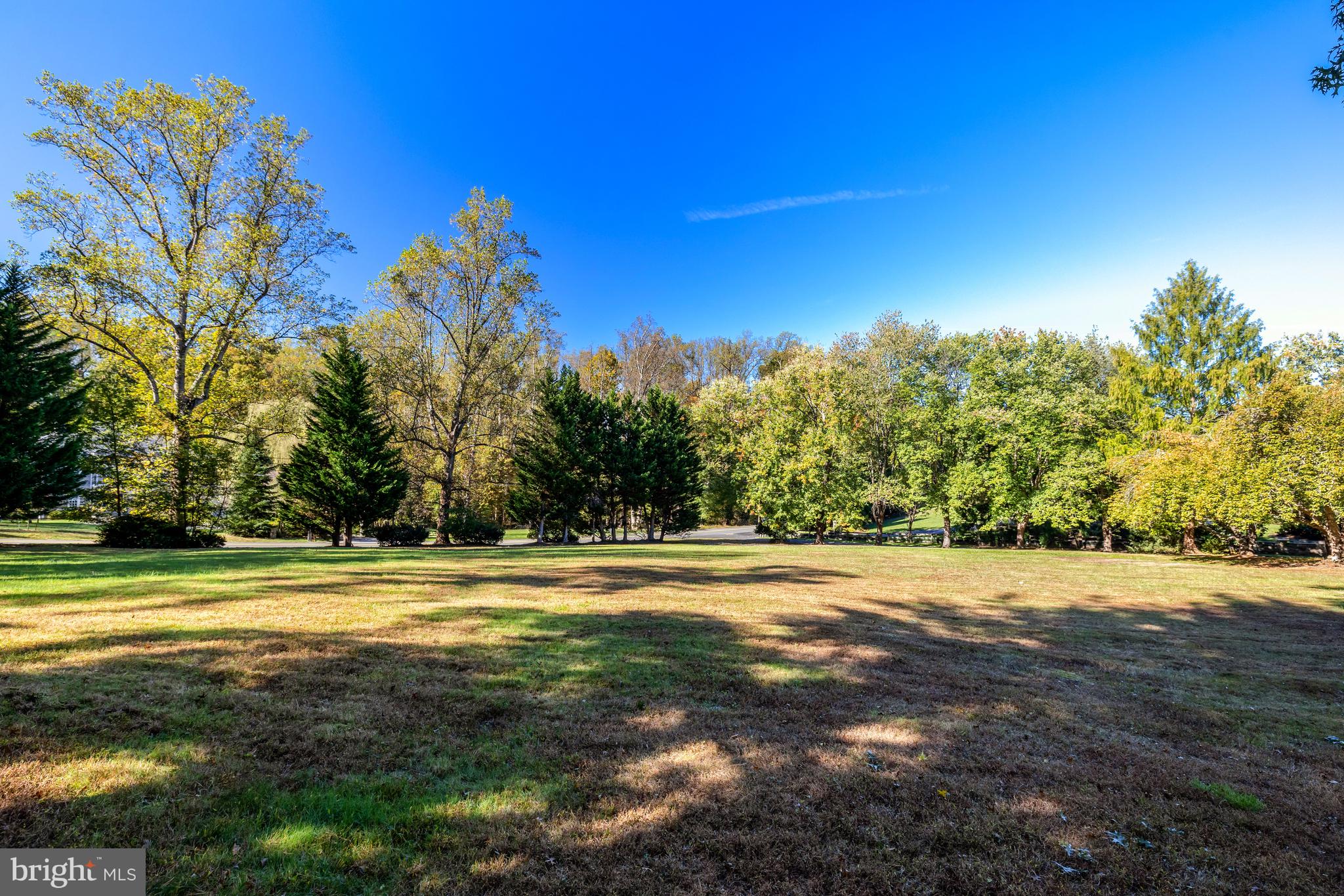 355 Springvale Road Great Falls, VA 22066 - Photo 38 of 44 a view of a big yard with trees