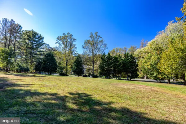 a view of yard with tree