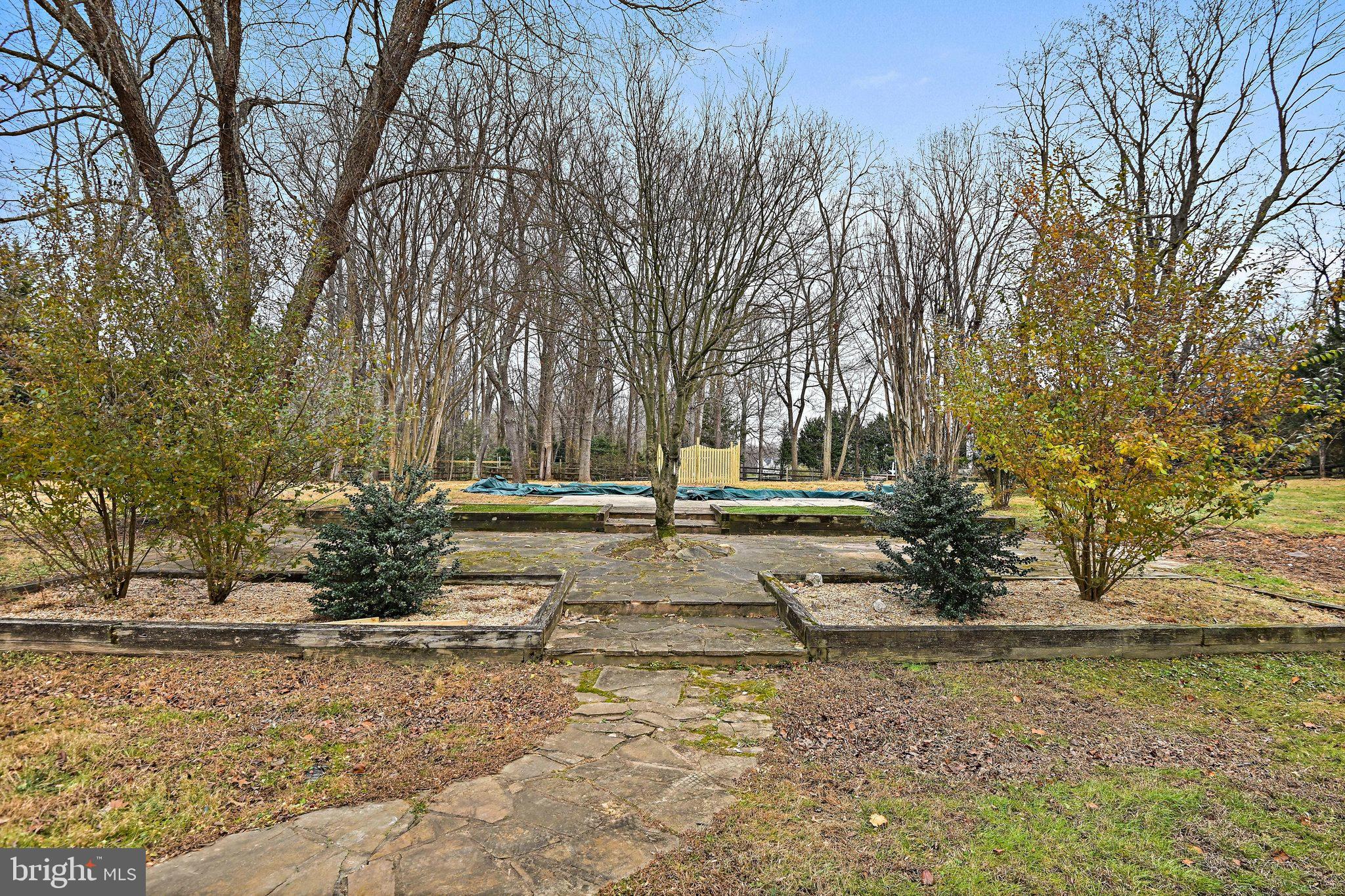355 Springvale Road Great Falls, VA 22066 - Photo 42 of 44 a view of yard with tree