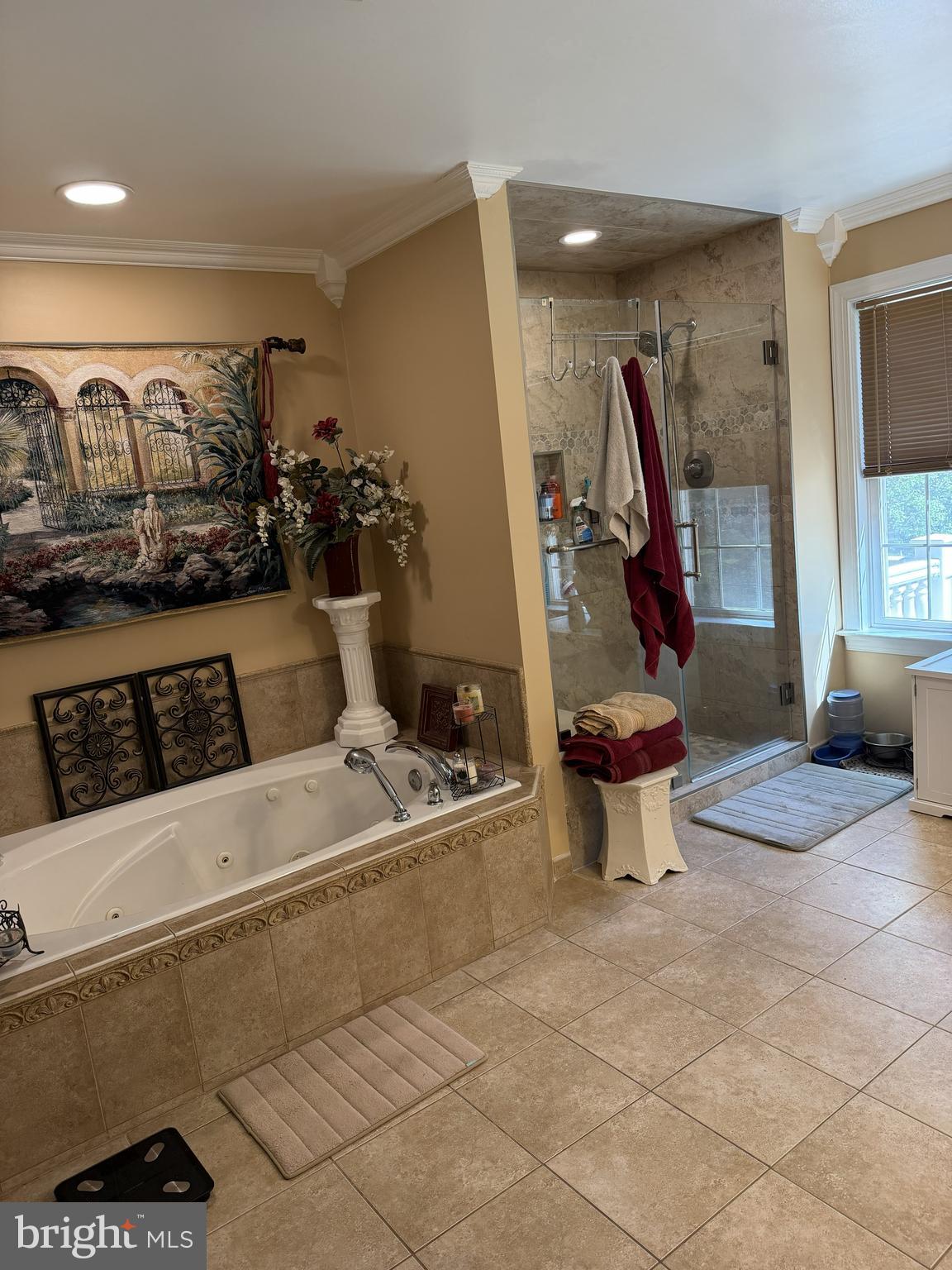14431 Aden Road Nokesville, VA 20181 - Photo 19 of 38 Primary bath
