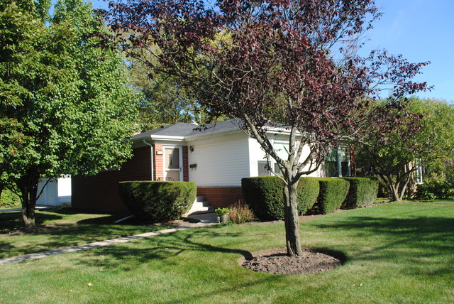 507 Ridge Road Highland Park, IL 60035 - Photo 1 of 20 a view of a house with backyard and a tree