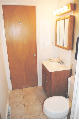 507 Ridge Road Highland Park, IL 60035 - Photo 13 of 20 a bathroom with a sink a toilet a mirror and vanity