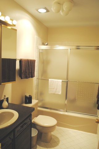 507 Ridge Road Highland Park, IL 60035 - Photo 15 of 20 a bathroom with a sink a toilet and shower
