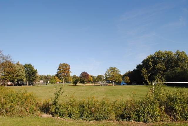 507 Ridge Road Highland Park, IL 60035 - Photo 20 of 20 a view of lake and trees
