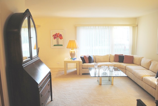 507 Ridge Road Highland Park, IL 60035 - Photo 5 of 20 a living room with furniture and a window