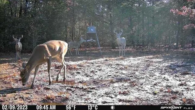 $950,000 | 9778 County Road 353, Terrell, TX 75161