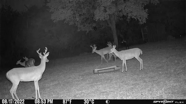 $950,000 | 9778 County Road 353, Terrell, TX 75161