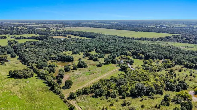 a view of a house with a large tree and wooden fence