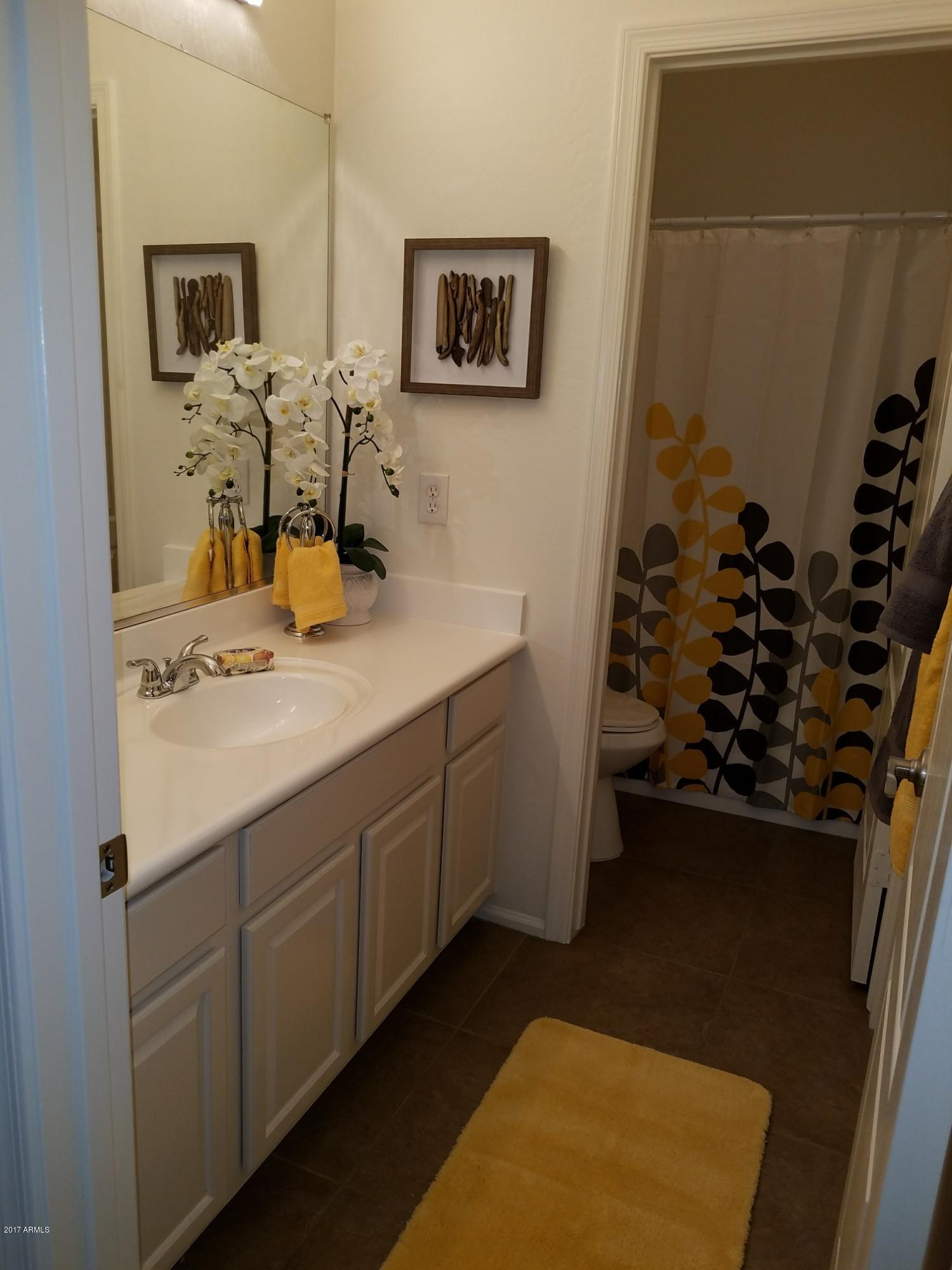 796 East Blue Ridge Way Chandler, AZ 85249 - Photo 14 of 30 Hall Bath