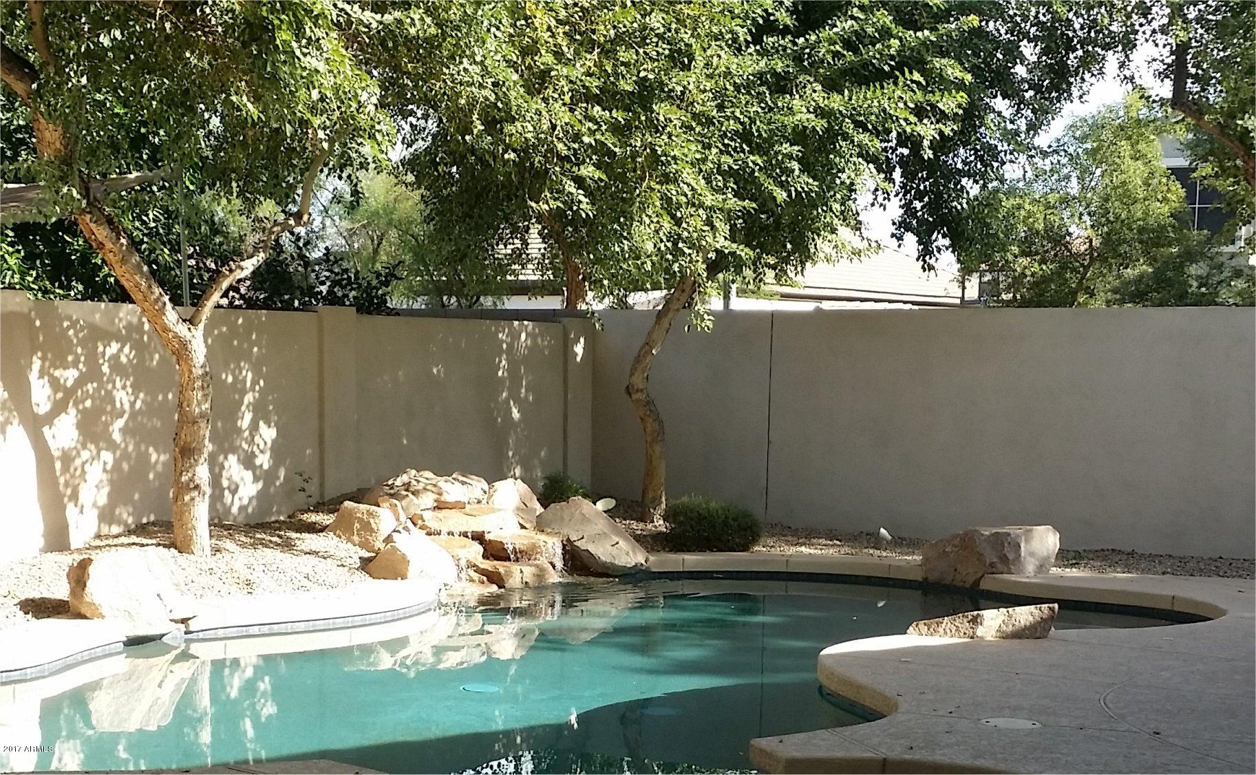 796 East Blue Ridge Way Chandler, AZ 85249 - Photo 9 of 30 Backyard 1