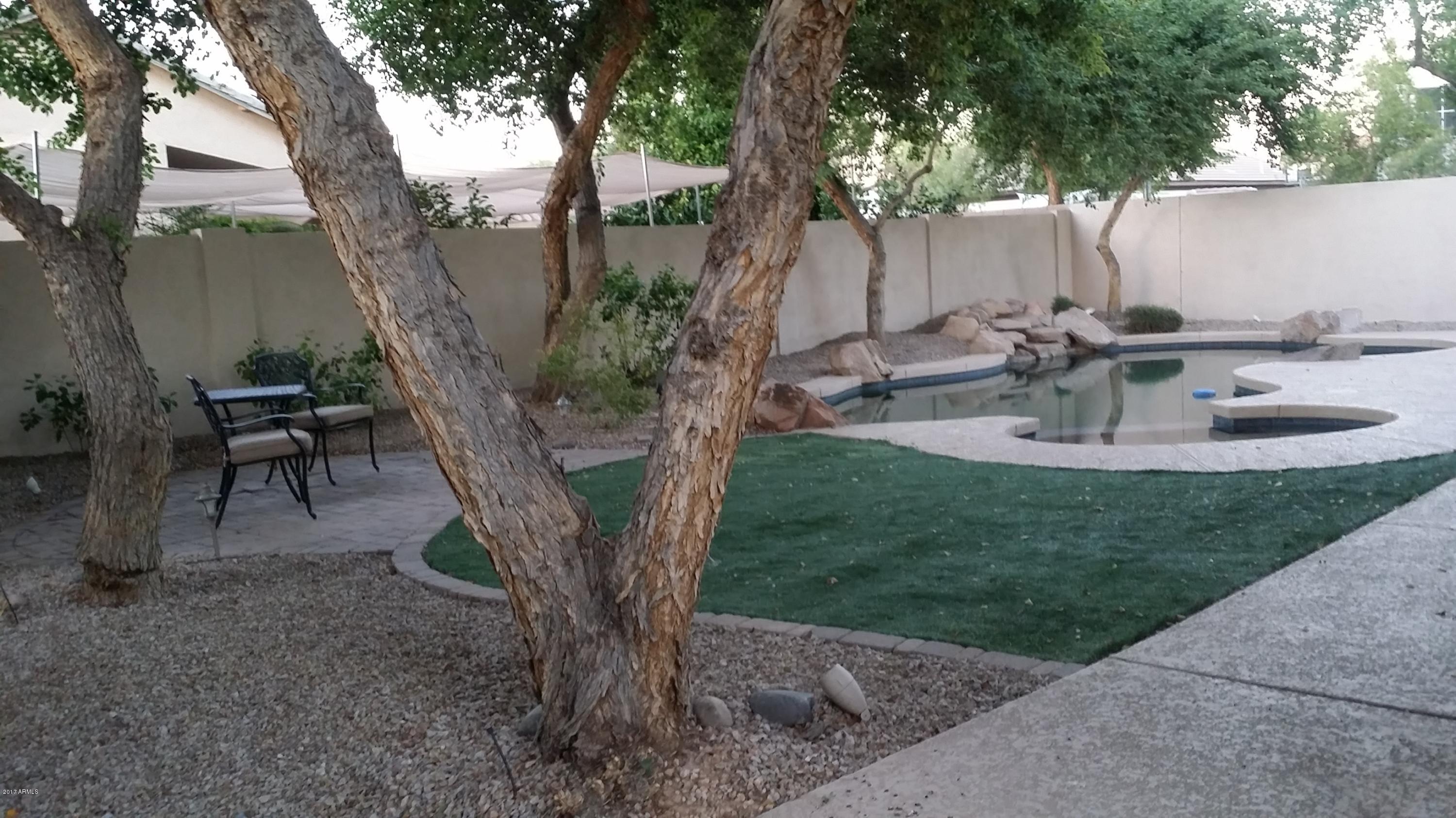 796 East Blue Ridge Way Chandler, AZ 85249 - Photo 10 of 30 Backyard 2