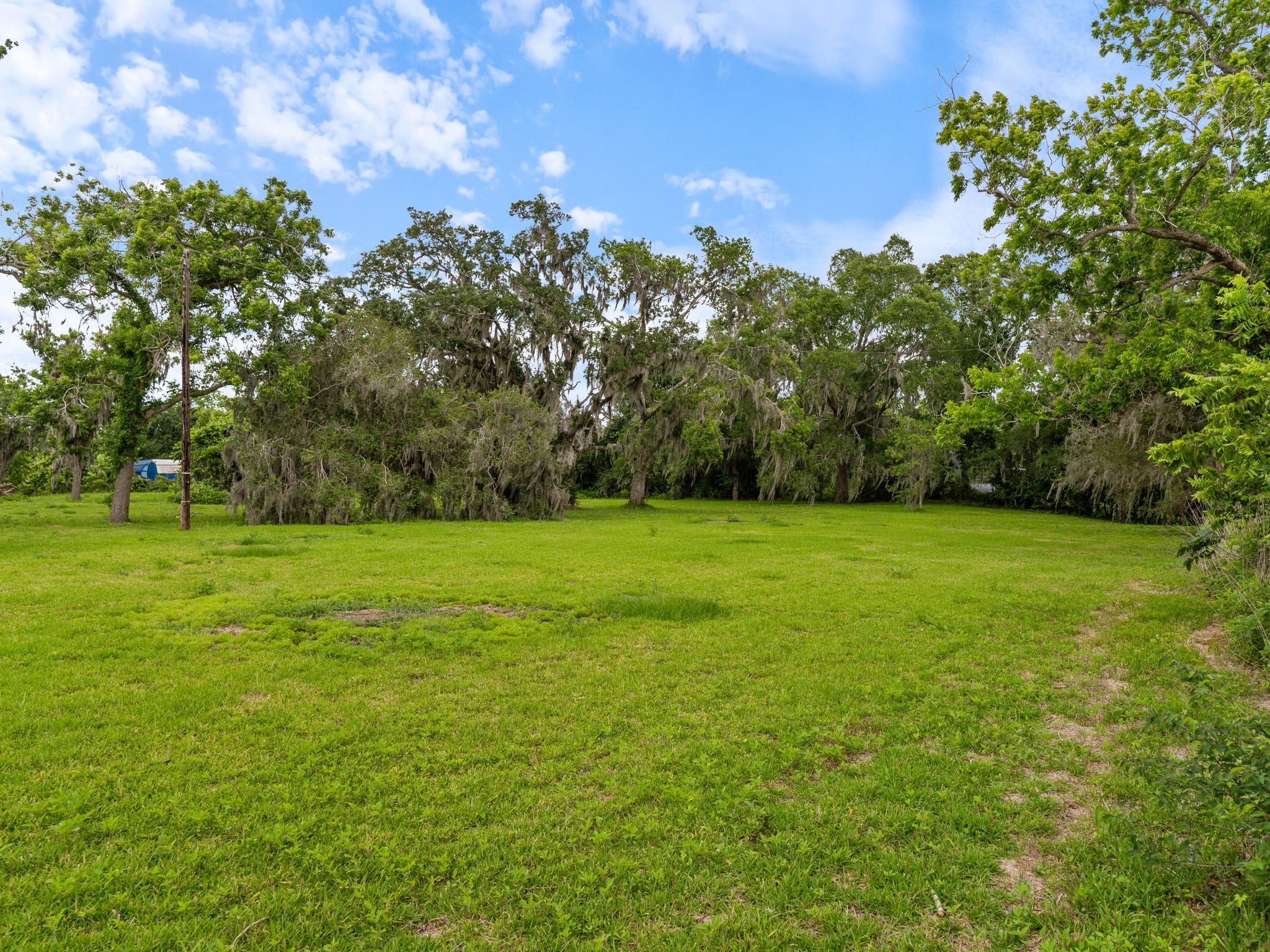 4610 FM 522 Road Brazoria, TX 77422 - Photo 5 of 18 a view of a grassy field with trees