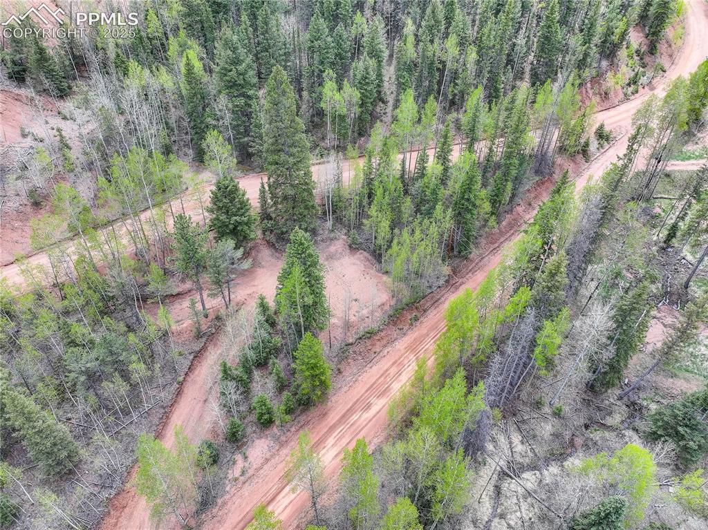 416 Willow Road Divide, CO 80814 - Photo 5 of 13 Pre-graded driveway off Willow Rd