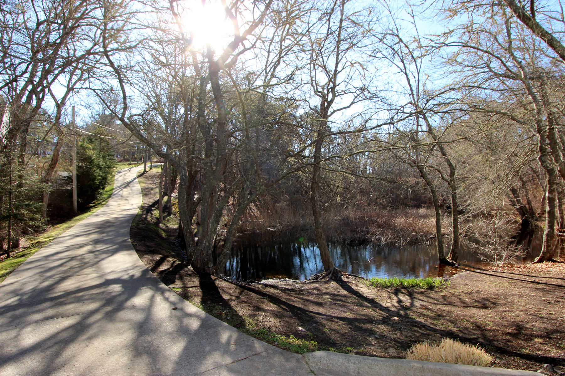 60 Bakers Pond Road Orleans, MA 02653 - Photo 49 of 54 driveway