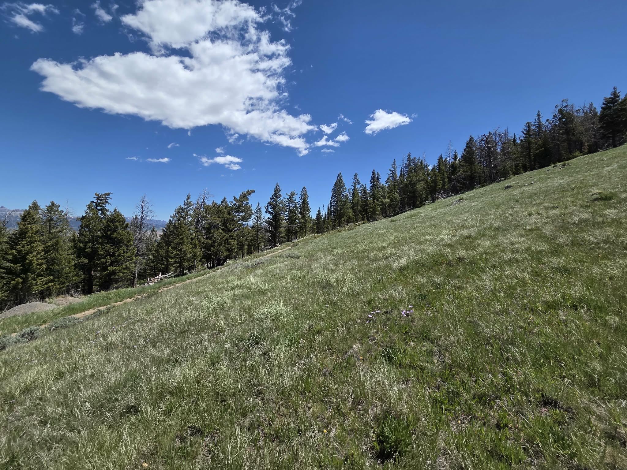 3 Starry Way Dubois, WY 82513 - Photo 7 of 30
