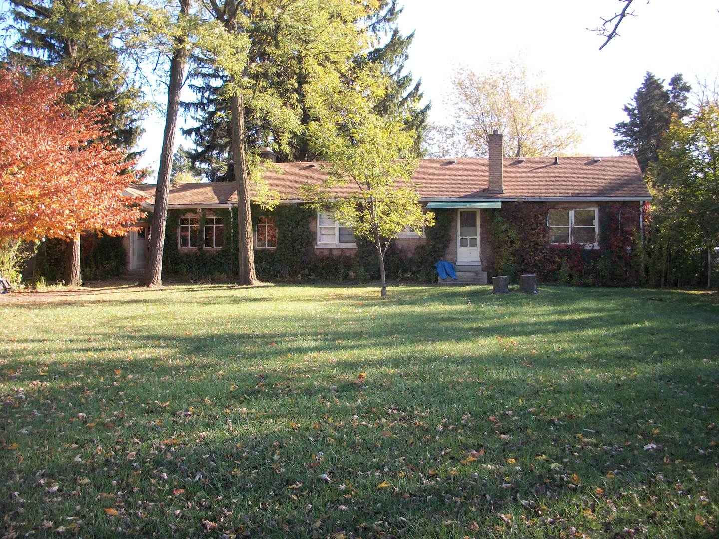 14930 Springfield Avenue Midlothian, IL 60445 - Photo 24 of 24 Gallery Image 24