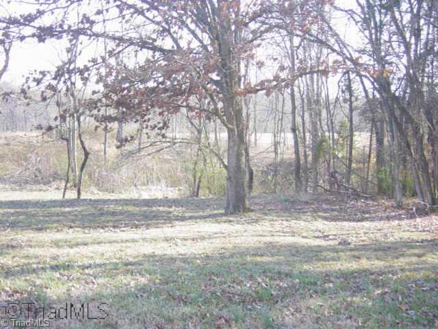 134 Crumpton Road Wentworth, NC 27320 - Photo 9 of 9 Other. Backyard