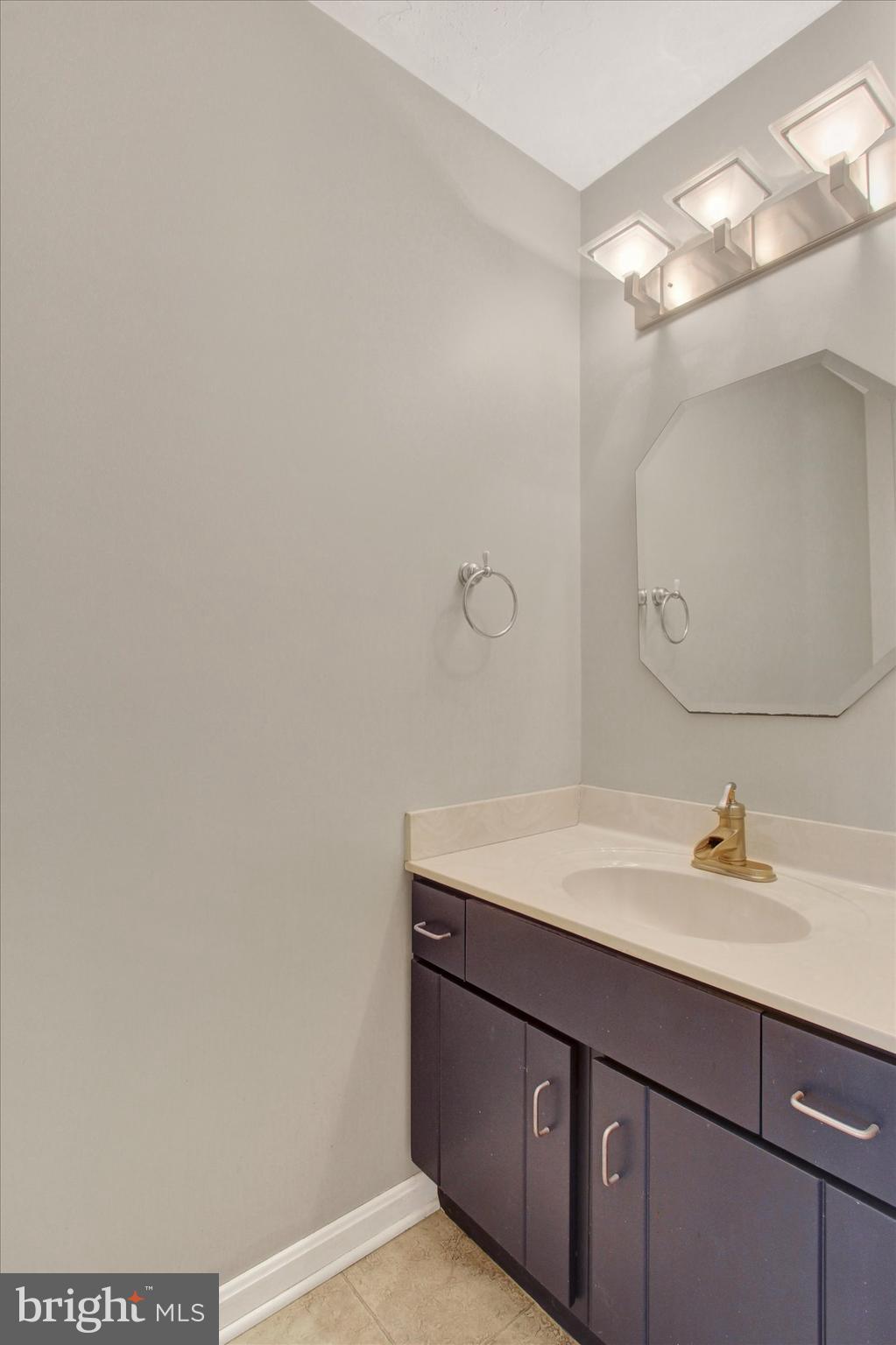2474 Meeting House Road Spring Grove, PA 17362 - Photo 13 of 51 a bathroom with a sink vanity and a mirror