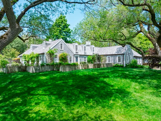 a view of yard with green space and trees