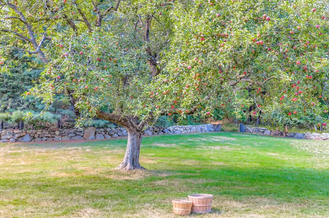 a living room with furniture and a book shelf