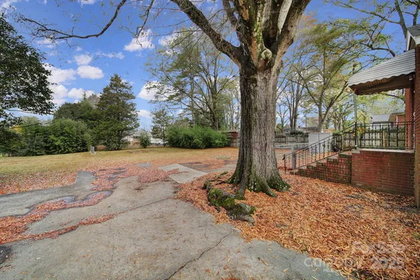 a view of backyard with tree