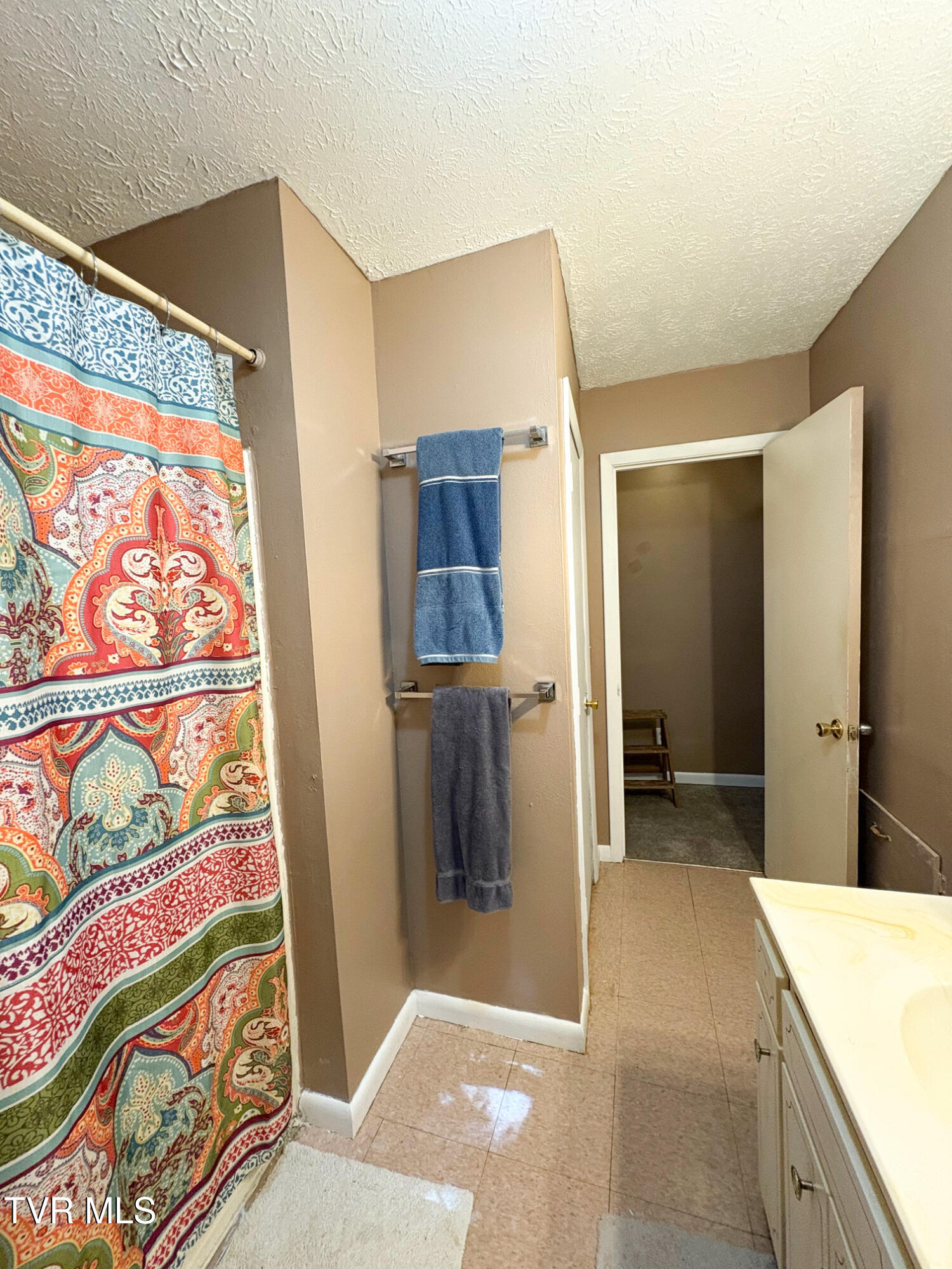 345 Mt Wesley Road Telford, TN 37690 - Photo 15 of 42 Bathroom.Mt.Wesley