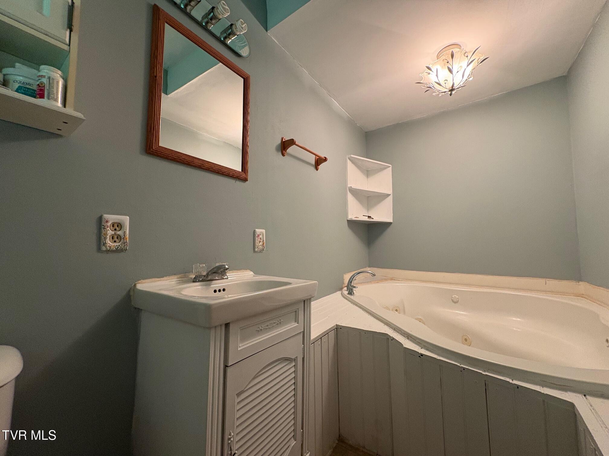 345 Mt Wesley Road Telford, TN 37690 - Photo 17 of 39 Primary Bath Tub