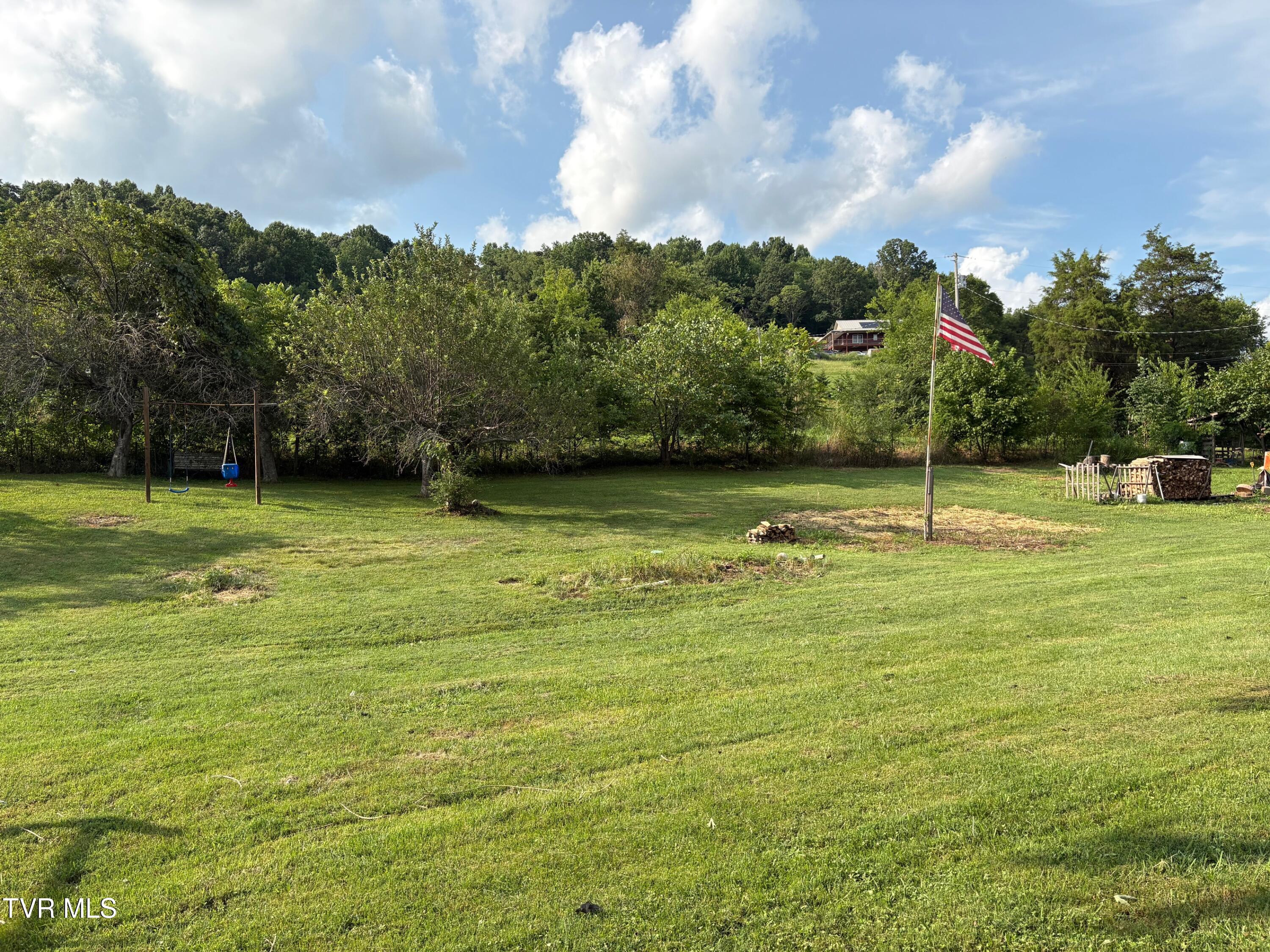 345 Mt Wesley Road Telford, TN 37690 - Photo 30 of 39 Space for Gardening