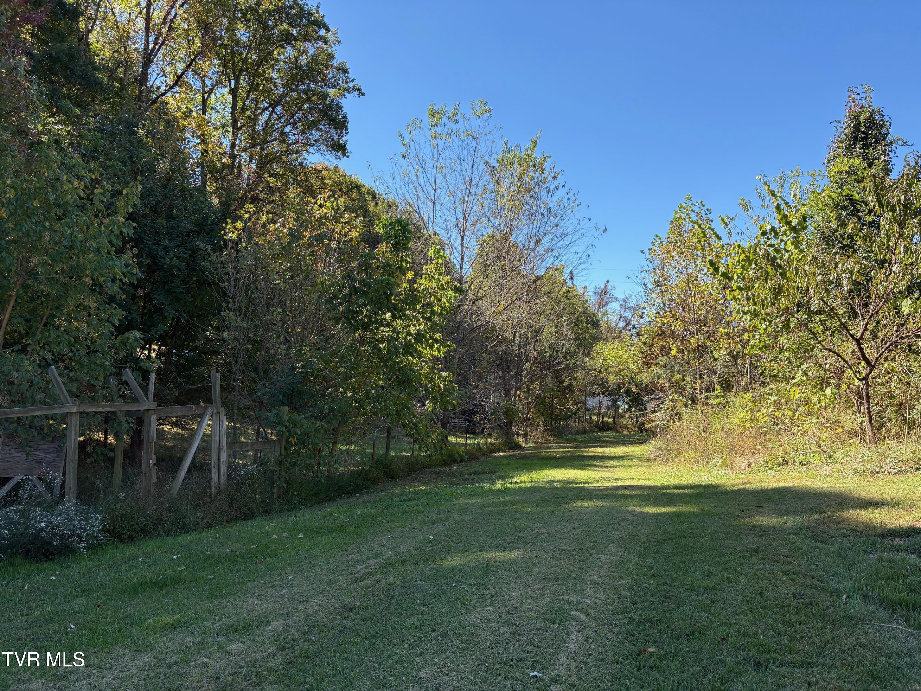 345 Mt Wesley Road Telford, TN 37690 - Photo 33 of 42 Space For Animals