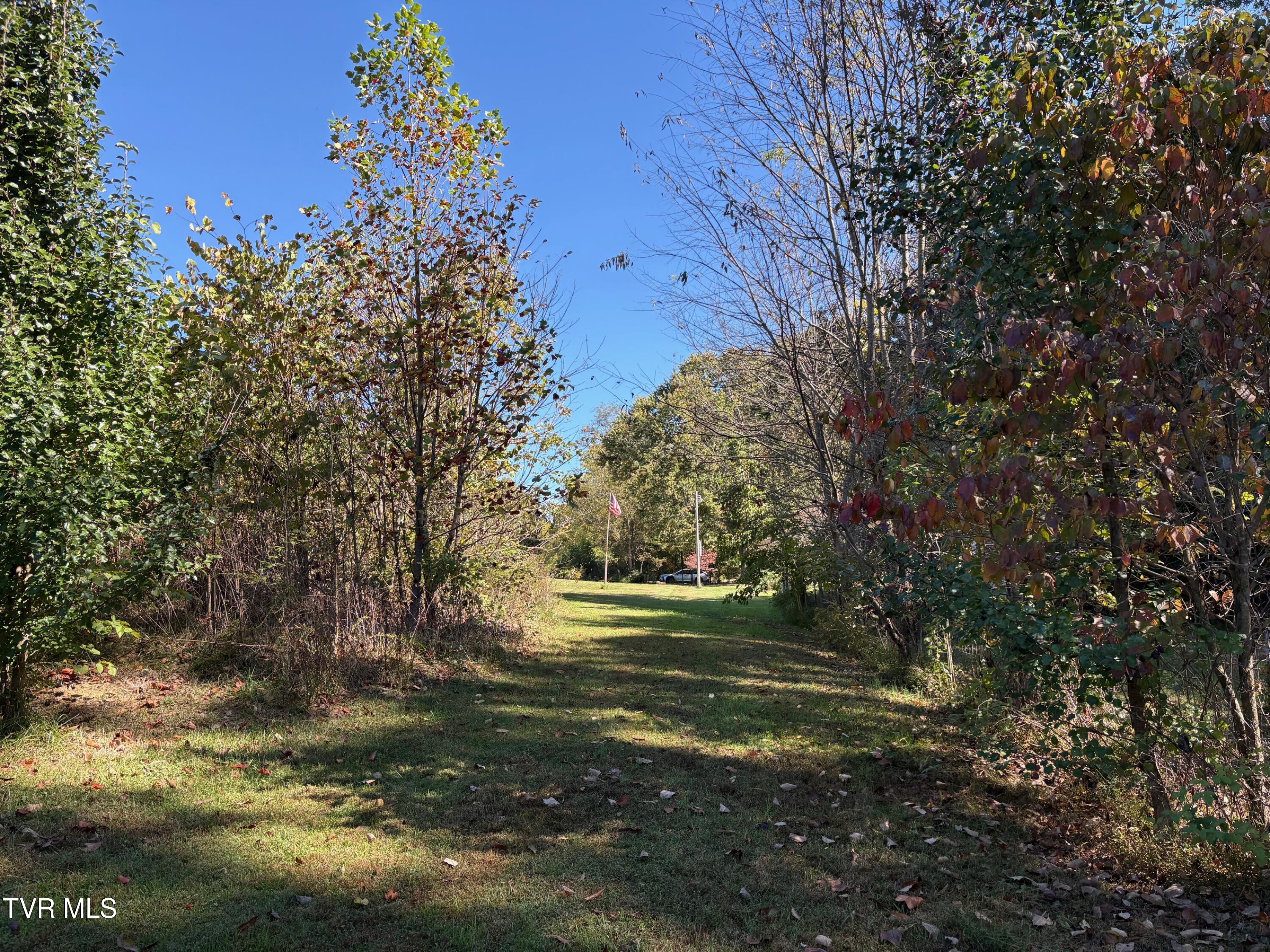 345 Mt Wesley Road Telford, TN 37690 - Photo 34 of 39 Trees / Privacy