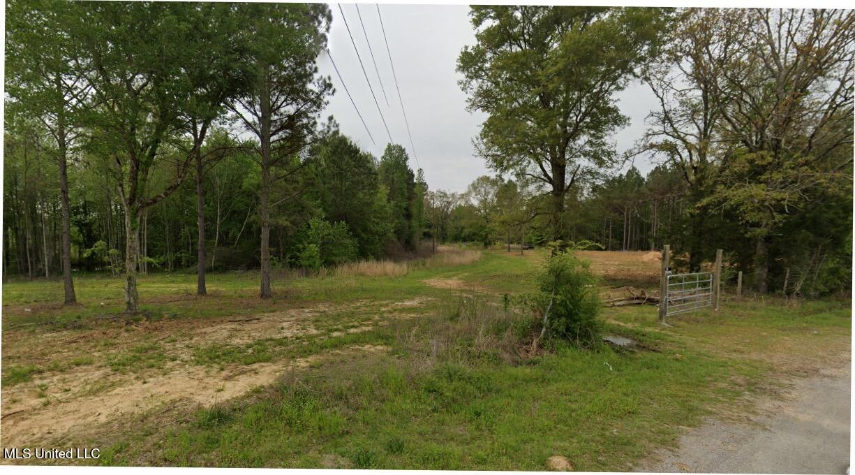 41 Acres Pickens, MS