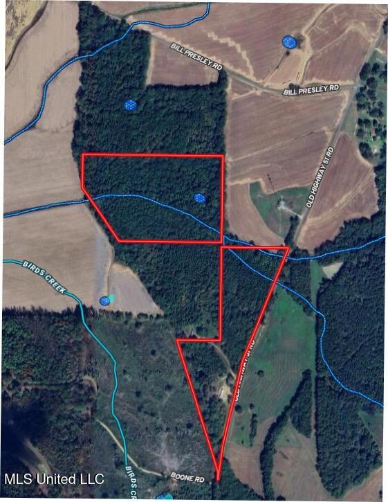 243 Old 51 Road Pickens, MS 39146 - Photo 5 of 6 vv